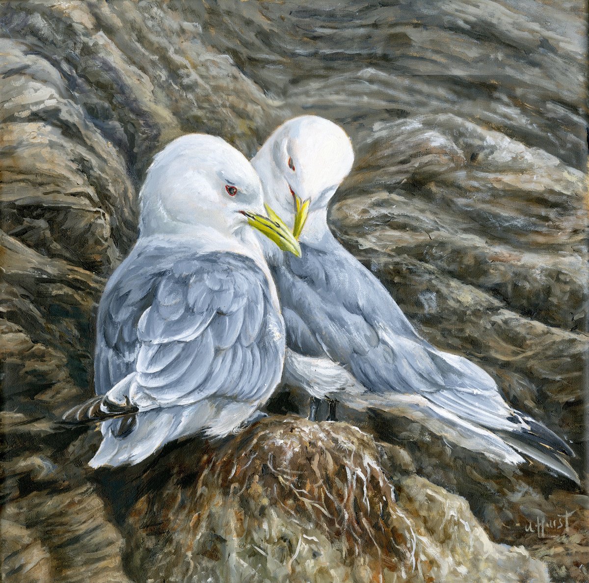 Photorealistic Animal Oil Painting By Una Hurst, 17 X 17", Kittiwake Seabird, Original Artwork