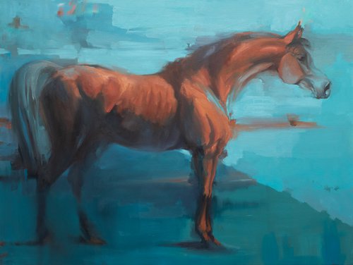 Equus Arabicus I by Zil Hoque
