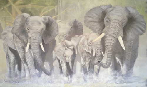 Elephant Herd by Renee  DiNapoli