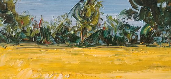 Golden fields of Summer