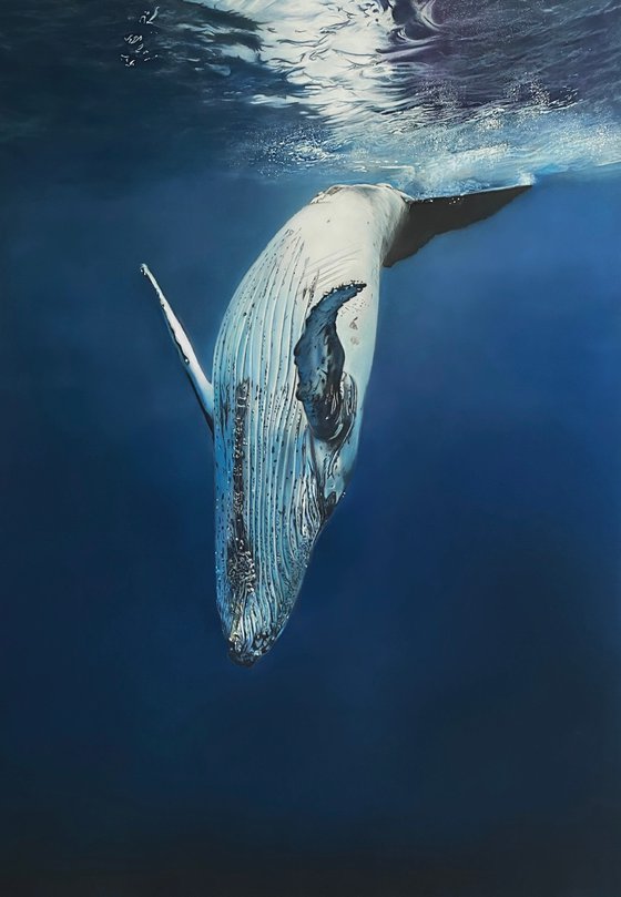 Blue Whale