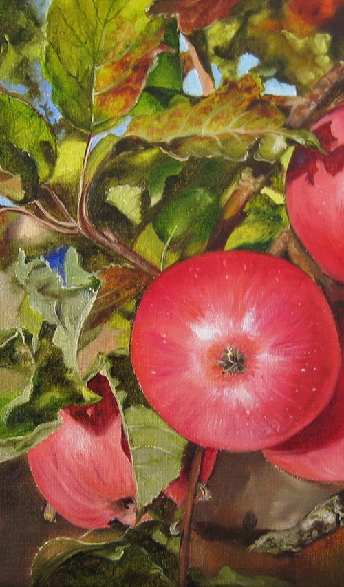 Red Apples on Tree Branch by Natalia Shaykina