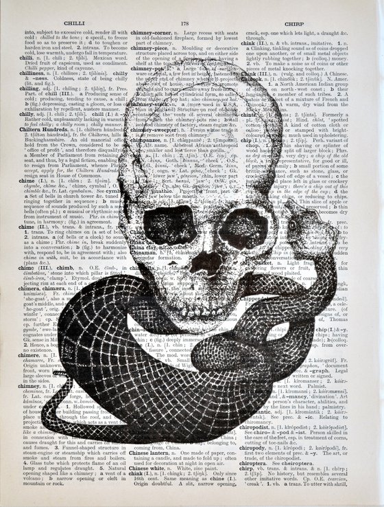 Skull and Snake - Collage Art on Large Real English Dictionary Vintage Book Page