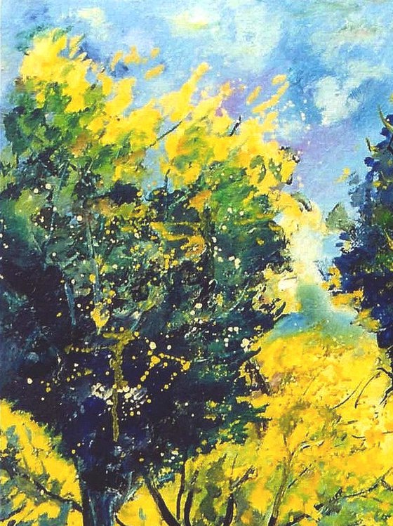 Orchard