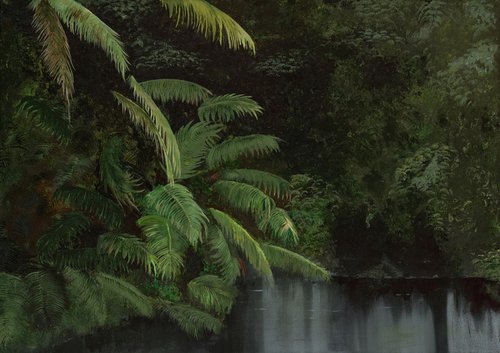 Rainforest by Robert Kerr