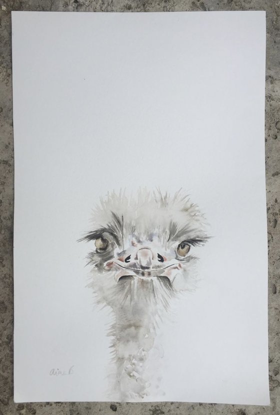 Ostrich painting “Good Morning”