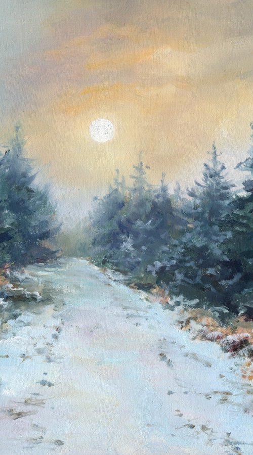 'The sun wants to shine' by Lucia Verdejo