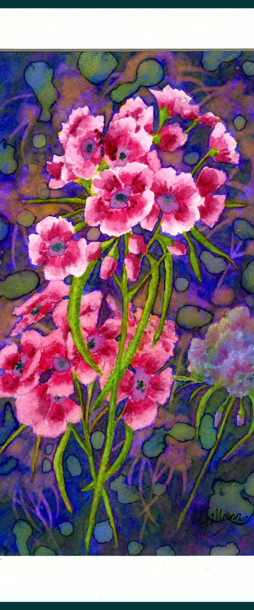 Sweet Williams by Lisa Mann