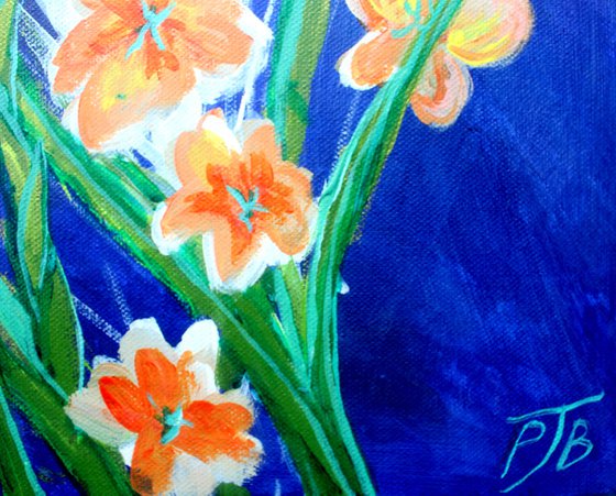 Gladioli
