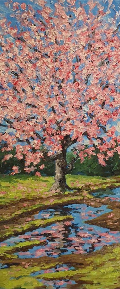blossom 26 by Colin Ross Jack