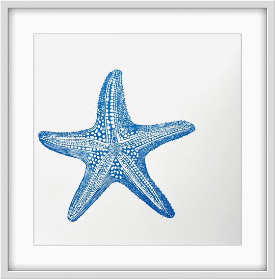 Starfish