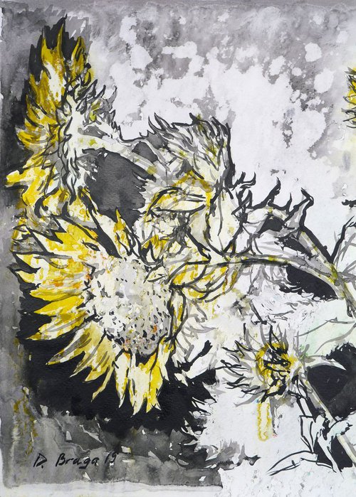 Sunflowers, rain (ink) by Dima Braga