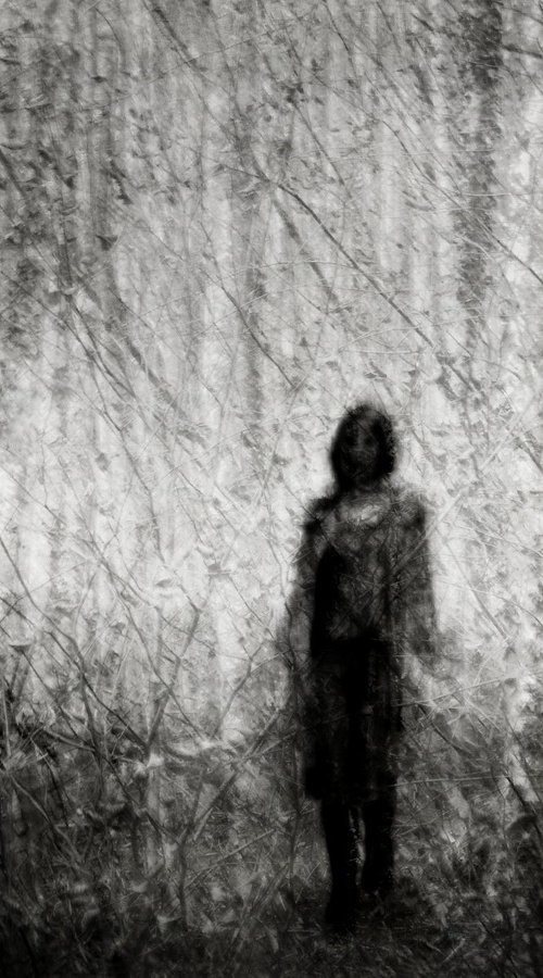 Clair-obscur..... by PHILIPPE BERTHIER