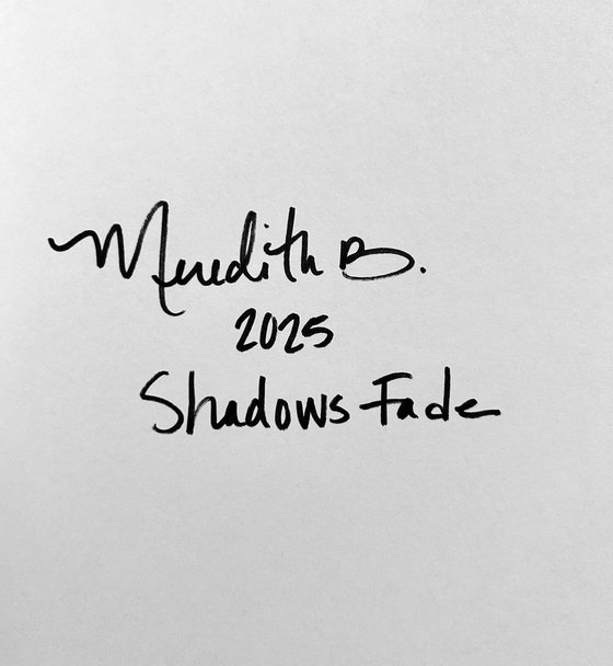 Shadows Fade