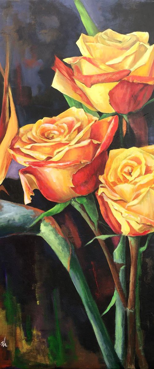 Hot Roses by Bahareh Kamankesh