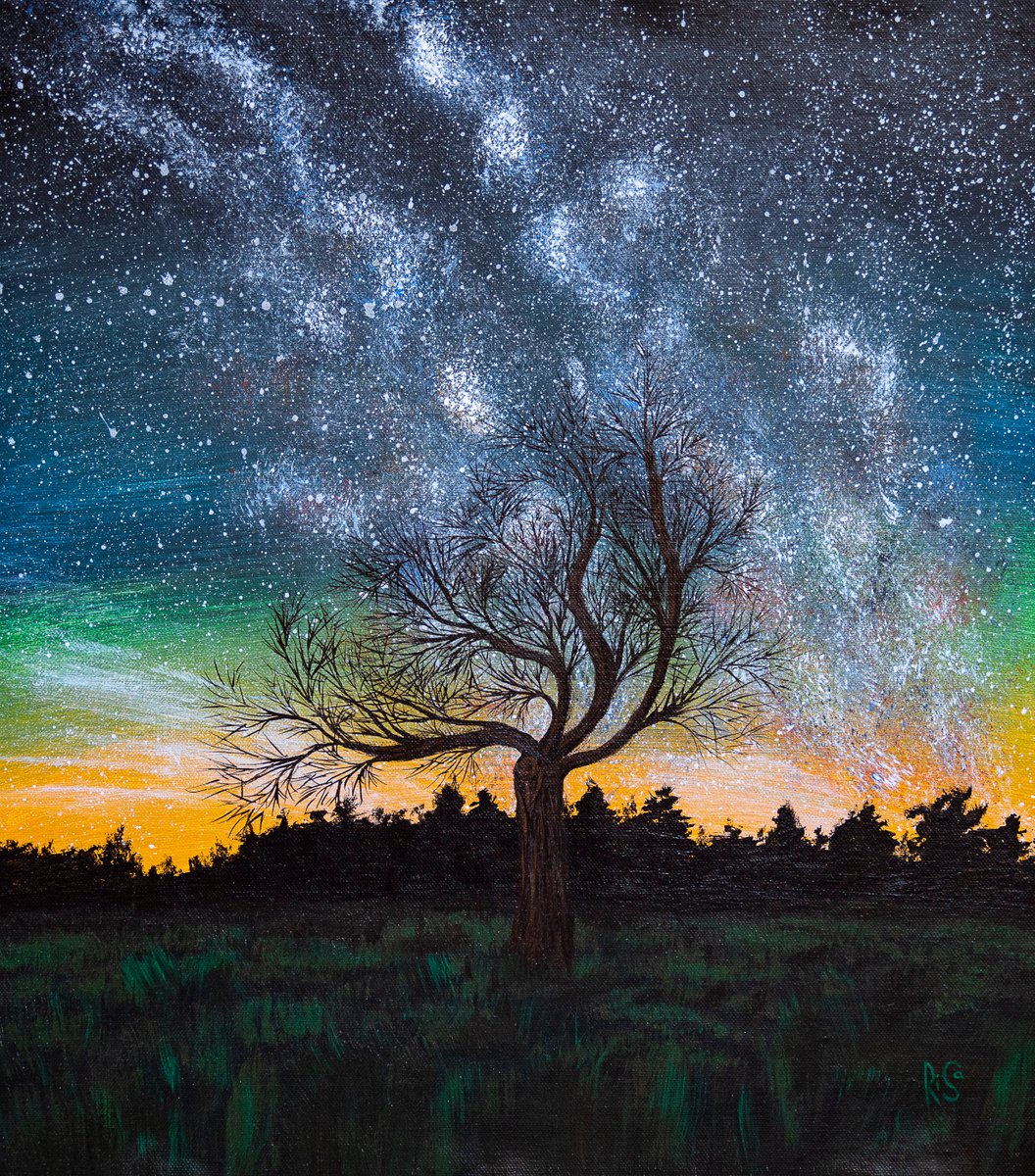 WINDSWEPT - colorful sky, sunrise, lonely tree in the field, grass by Rimma Savina