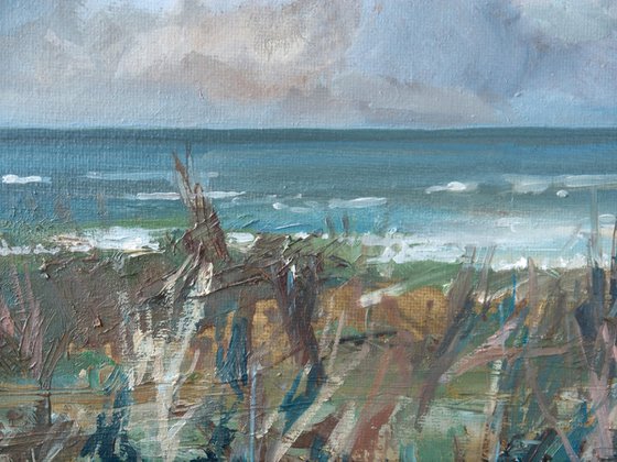 Weathered Coast