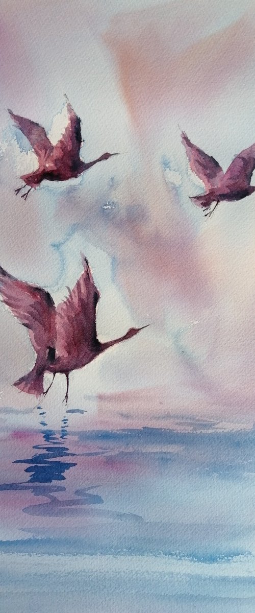flying birds by Giorgio Gosti