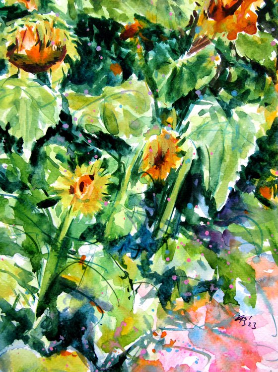 Sunflowers field