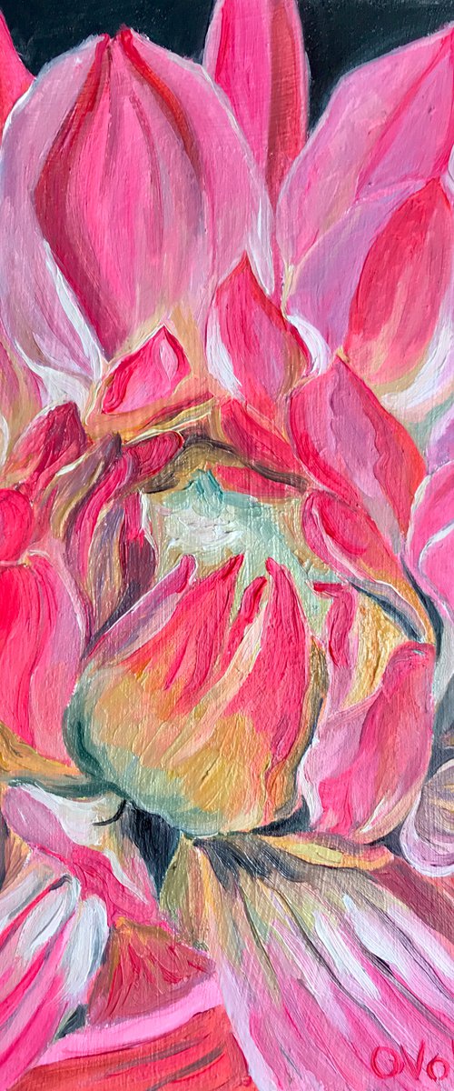 Pink Flower by Olga Volna