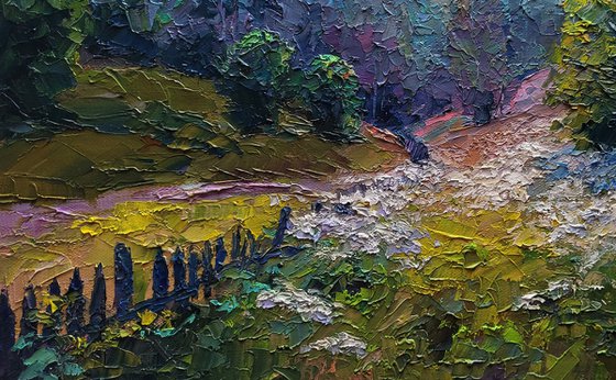 Wildflowers are growing