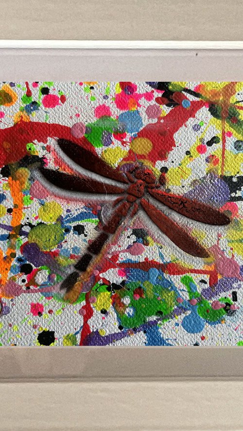 Insects 010 by Juan Jose Garay