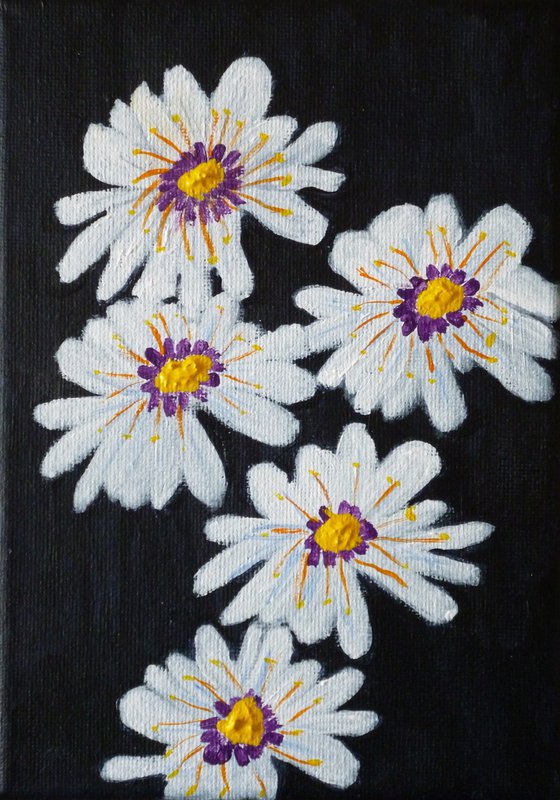 Daisies