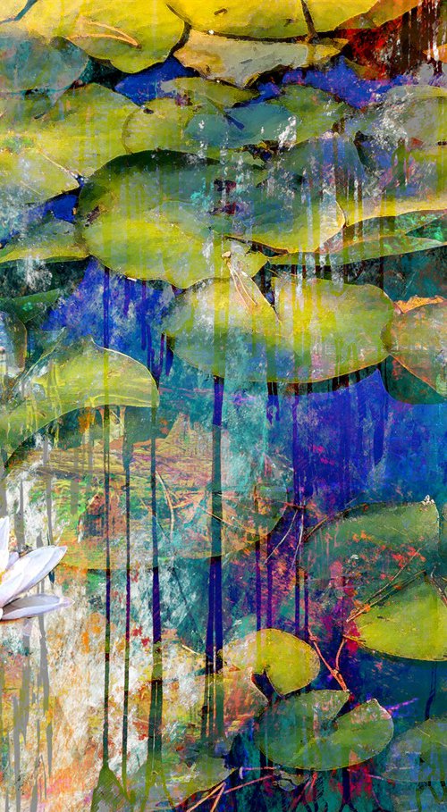 Lotuses in a Pond by Alex Solodov