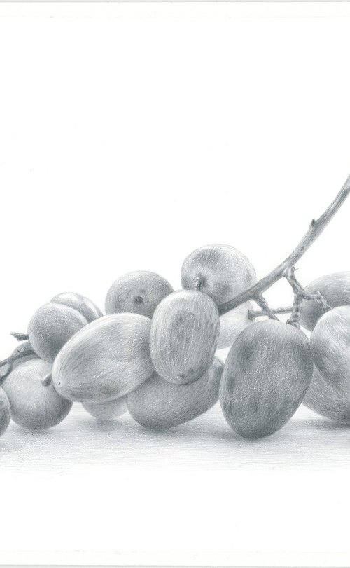 Grapes by Yuliia Moiseieva
