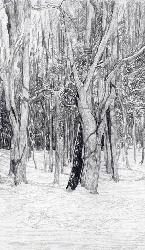 Winter day by Simon Kozhin