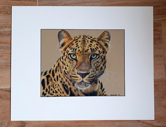 Leopard portrait "Penny" - high detailed coloured pencil drawing