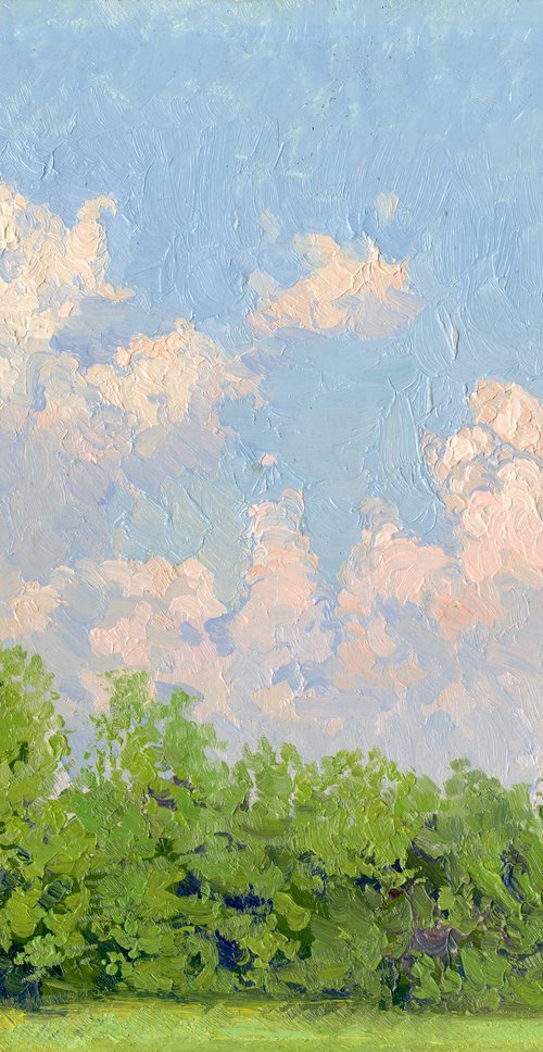 Clouds. Botanical Garden by Simon Kozhin