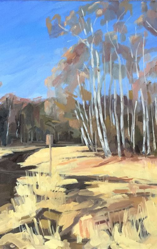 Silver birches with post on Wimbledon Common by Katharine Rowe