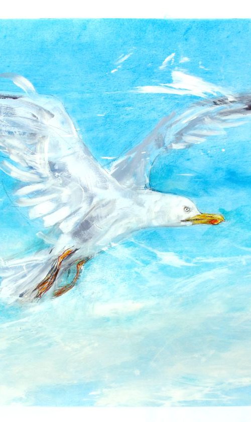 Gull , Camber Sands by John Sharp