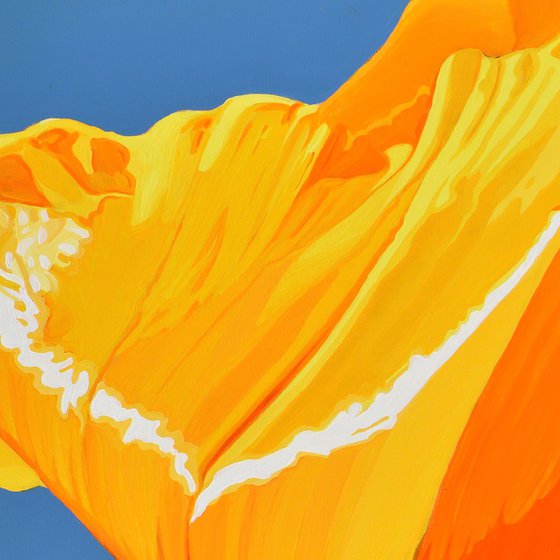 Californian Poppy and Pacific Wind #2