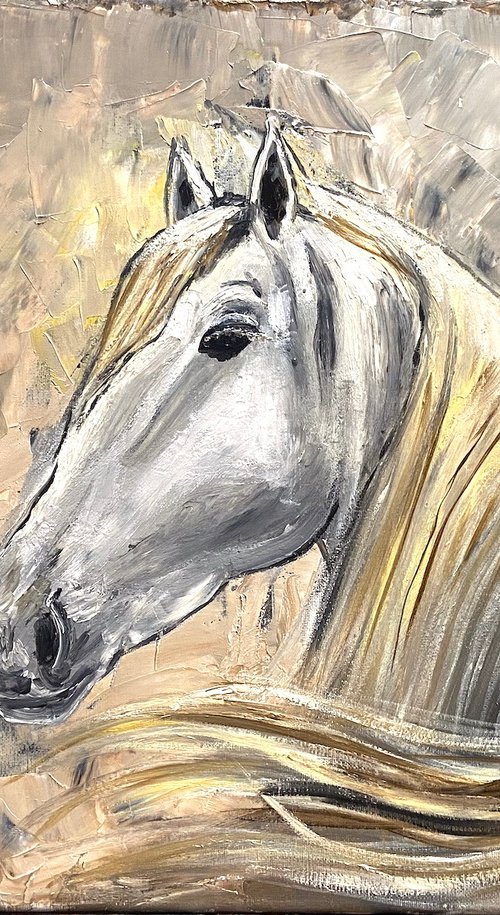Graceful Horse by Aisha Haider