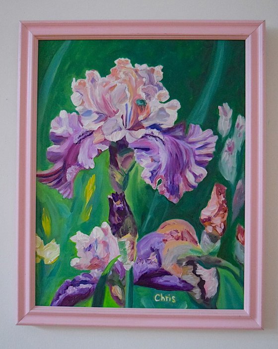 "Florentine Silk " Iris