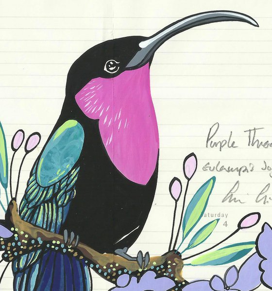Birds of South America: Purple Throated Carib