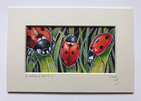 A loveliness of ladybirds 1