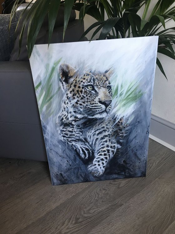 Grey leopard by Paul Hardern