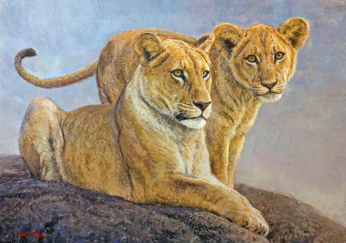 Lioness and cub by Gabriel Hermida