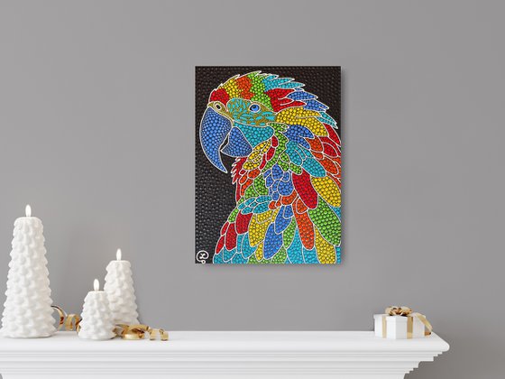 Rainbow Macaw