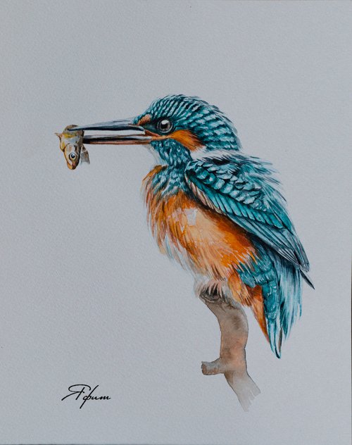 Kingfisher with a catch. by Yafit Moshensky
