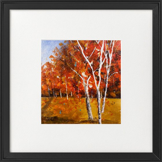 Silver Birches Park framed