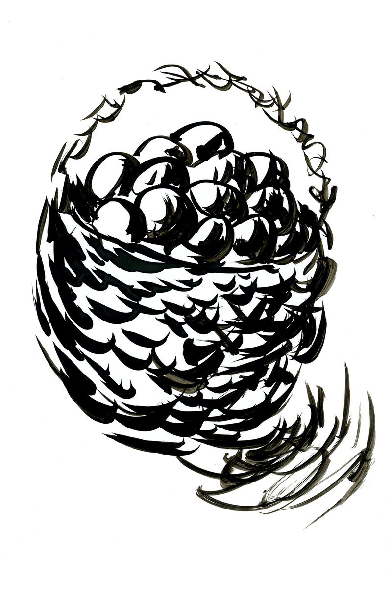 Eggs in basket by Anton Maliar