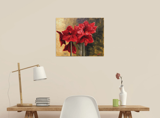 Amaryllis