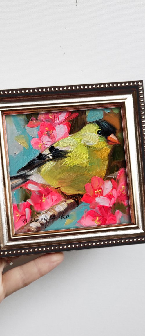 Yellow bird on blossom branch by Nataly Derevyanko