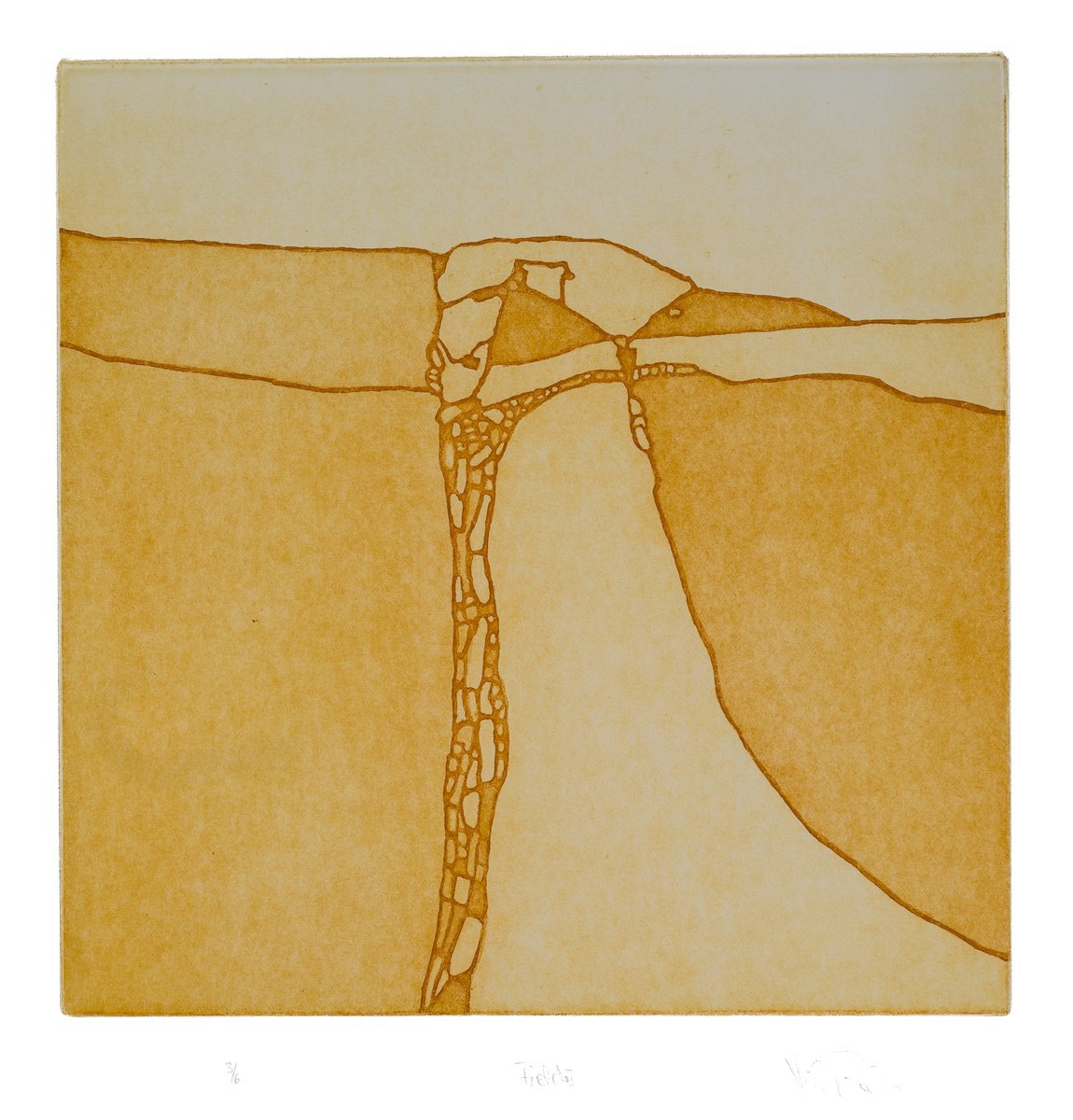 Impressionistic Landscape Etchings & Engravings By Heike Roesel, 13 X 13, Fields 1, Original Artwork