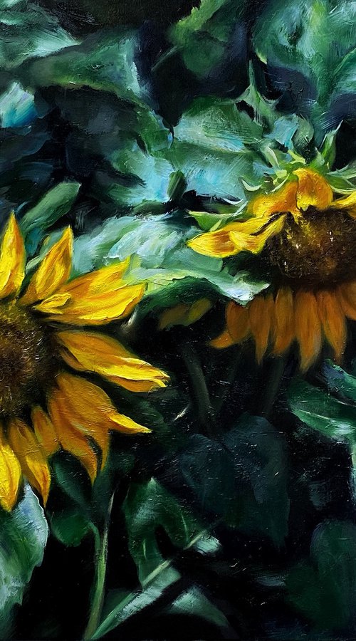 Sunflowers in shadow by Farzaneh Maddahi