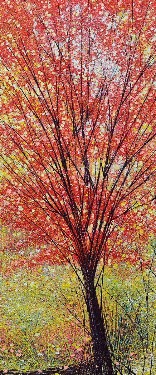 Tree In Autumn by Marc Todd